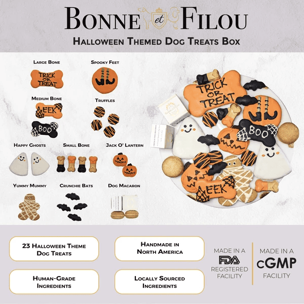 Halloween Themed Dog Biscuits Treats Gift Box