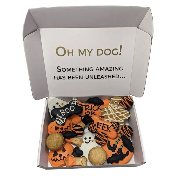 Halloween Themed Dog Biscuits Treats Gift Box