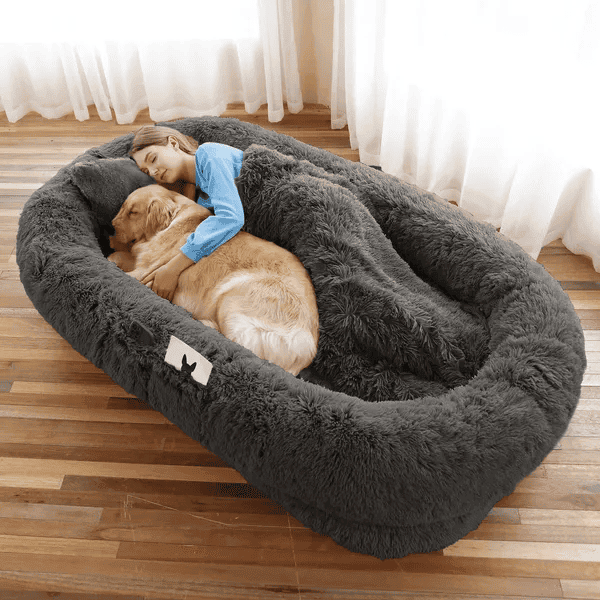 Orthopedic Human Dog Bed