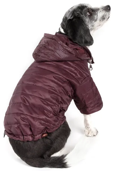 Lightweight Adjustable Dog Coat