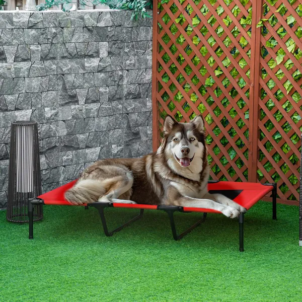Framed Elevated Folding Dog Bed