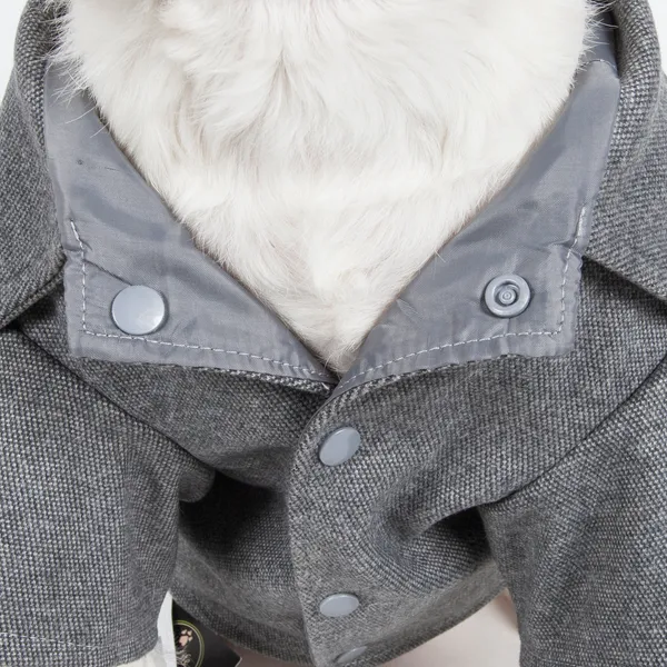 Fashion Collared Wool Dog Coats