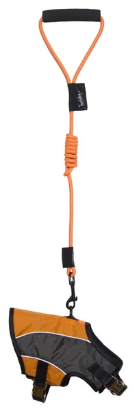 Black and orange 2-in-1 adjustable dog harness and leash with reflective strips and padded inner lining