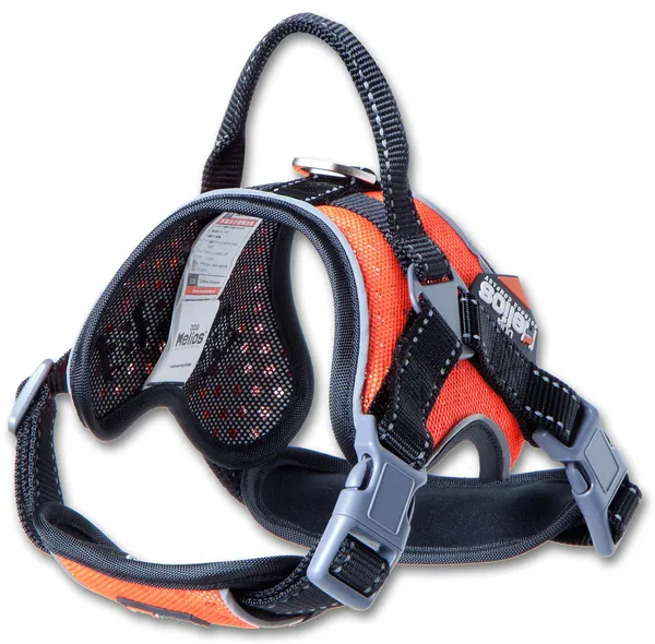 High-Performance Chest Strap Dog Harness