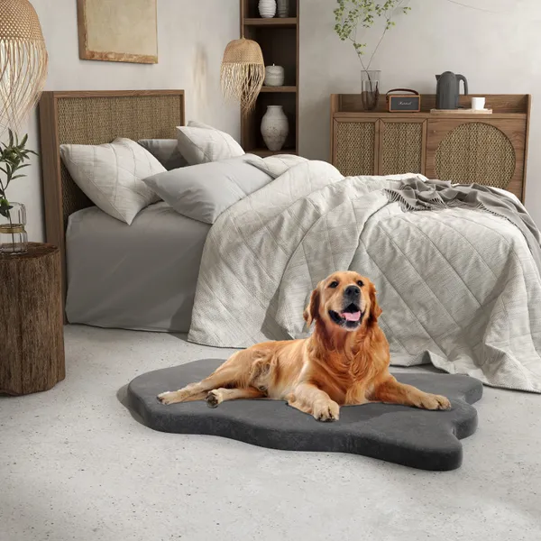 Orthopedic Dog Bed with Memory Foam Support
