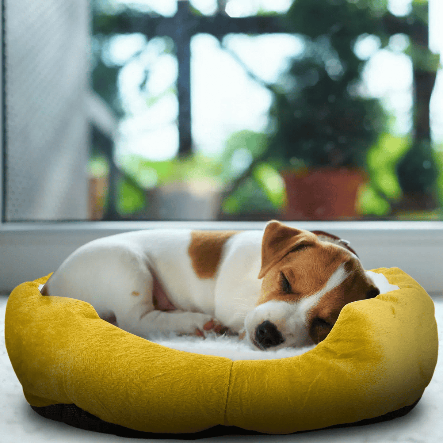 Cozy Dog Nesting Bed