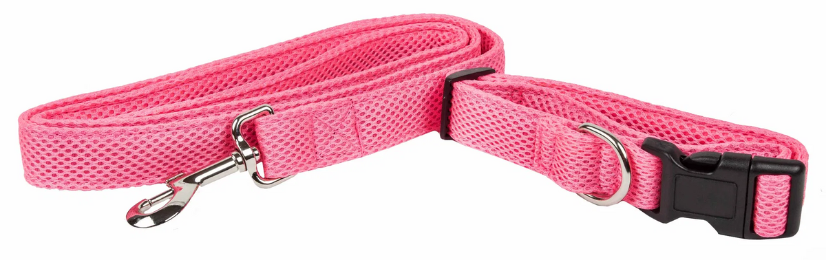 Adjustable Mesh Dog Leash and Collar