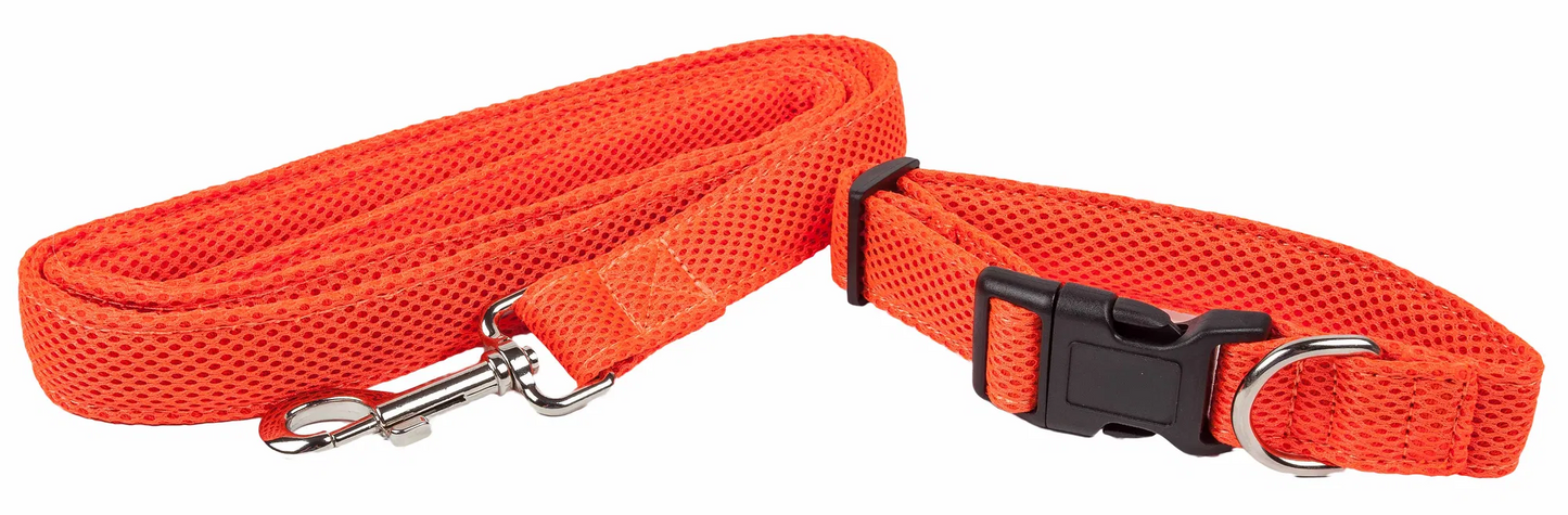 Adjustable Mesh Dog Leash and Collar