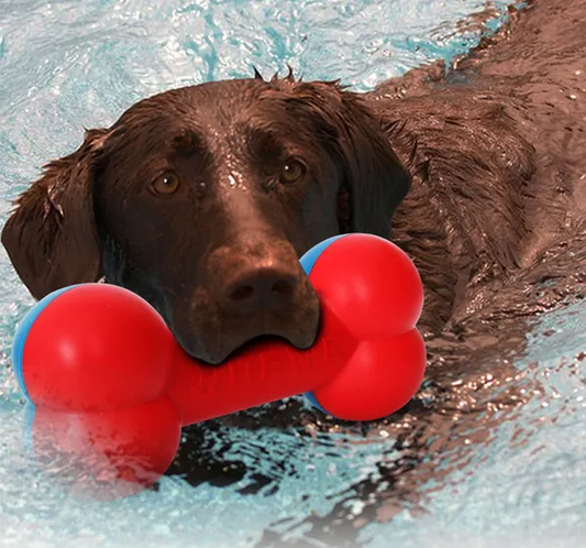 Red and blue durable bone shaped dog chew toy floating on water for teething and interactive play