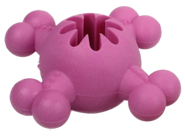 Quadra-Bone Treat Dispensing Dog Chew Toy
