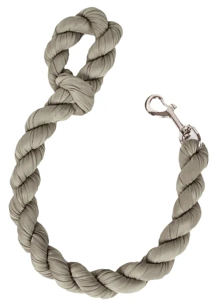 Industrial-Strength Shock Absorption Braided Dog Leash