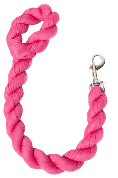 Industrial-Strength Shock Absorption Braided Dog Leash
