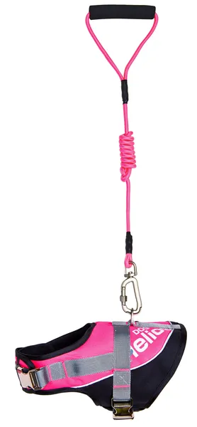 Adjustable 2-in-1 Leash and Harness Dog Walking Set
