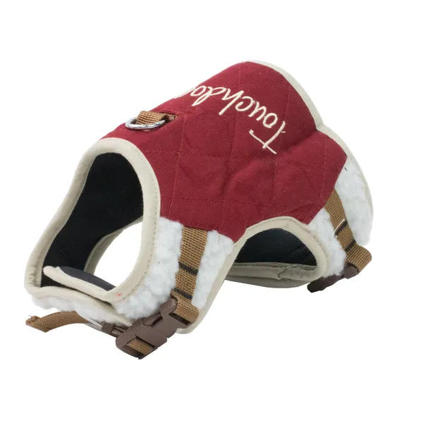 Adjustable Fashionable Dog Walking Sets