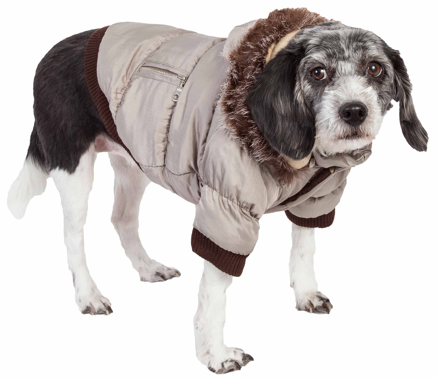Pet Life Metallic Parka dog coat with Thinsulate insulation, removable faux fur hood, and belly Velcro closures