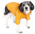 Coats for Dogs - Sporty Avalanche Coat