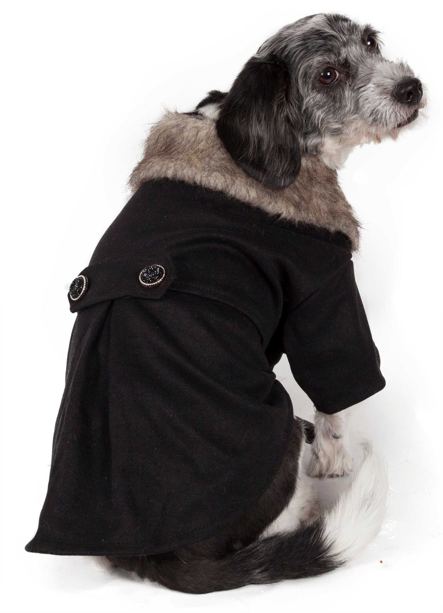 Small dog wearing a faux-fur collared coat with dual-buttoned strap and leash slit holder, designed for easy snap button closure and comfort