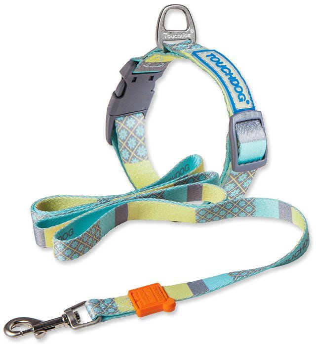 Trendzy 2-in-1 Walking Dog Set