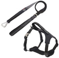 Reflective neoprene padded 2-in-1 dog walking set with shock-absorbing leash and adjustable harness in geometric design