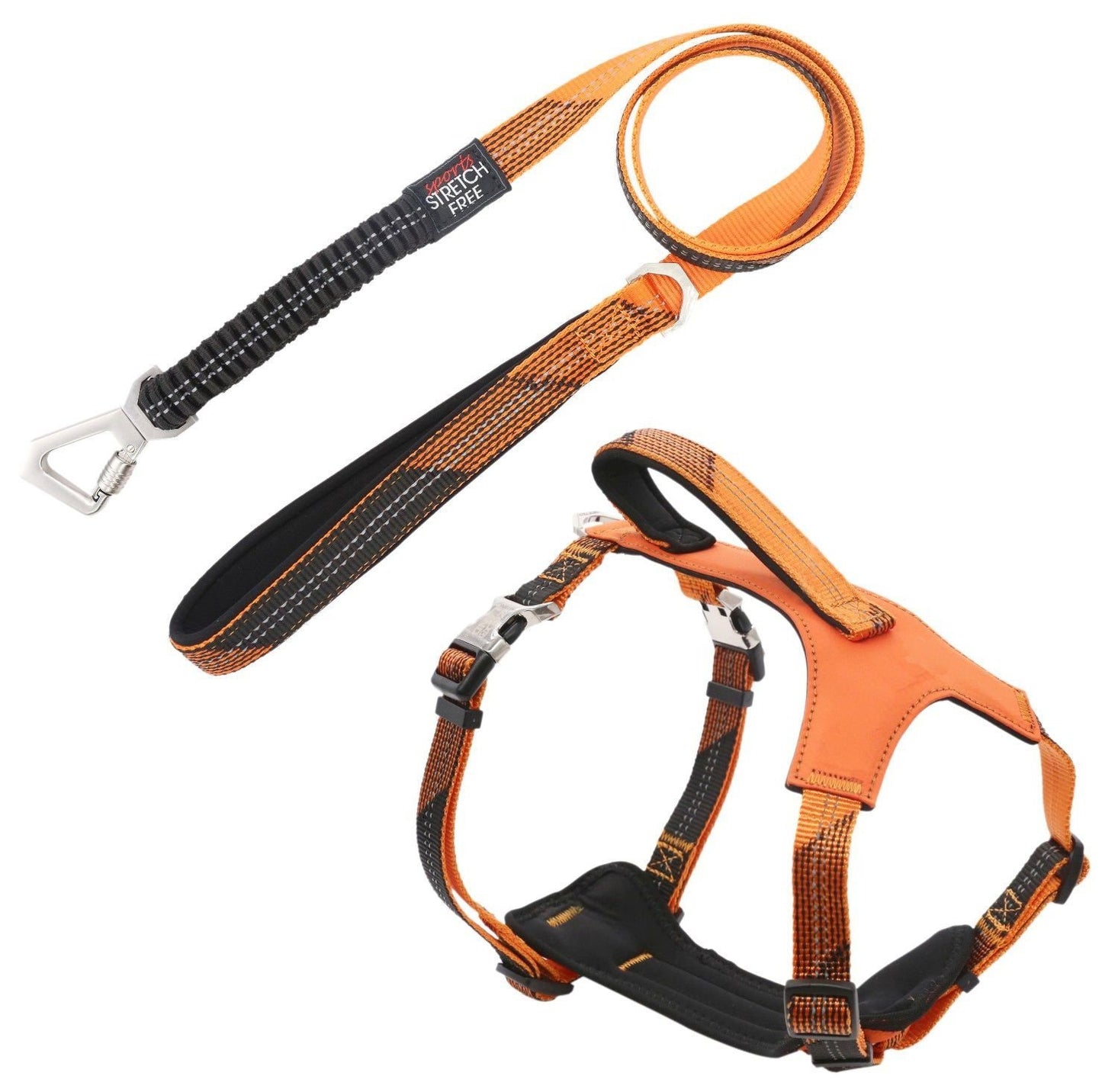 Geo-prene 2-in-1 reflective dog walking set with neoprene padded harness and shock absorbing leash
