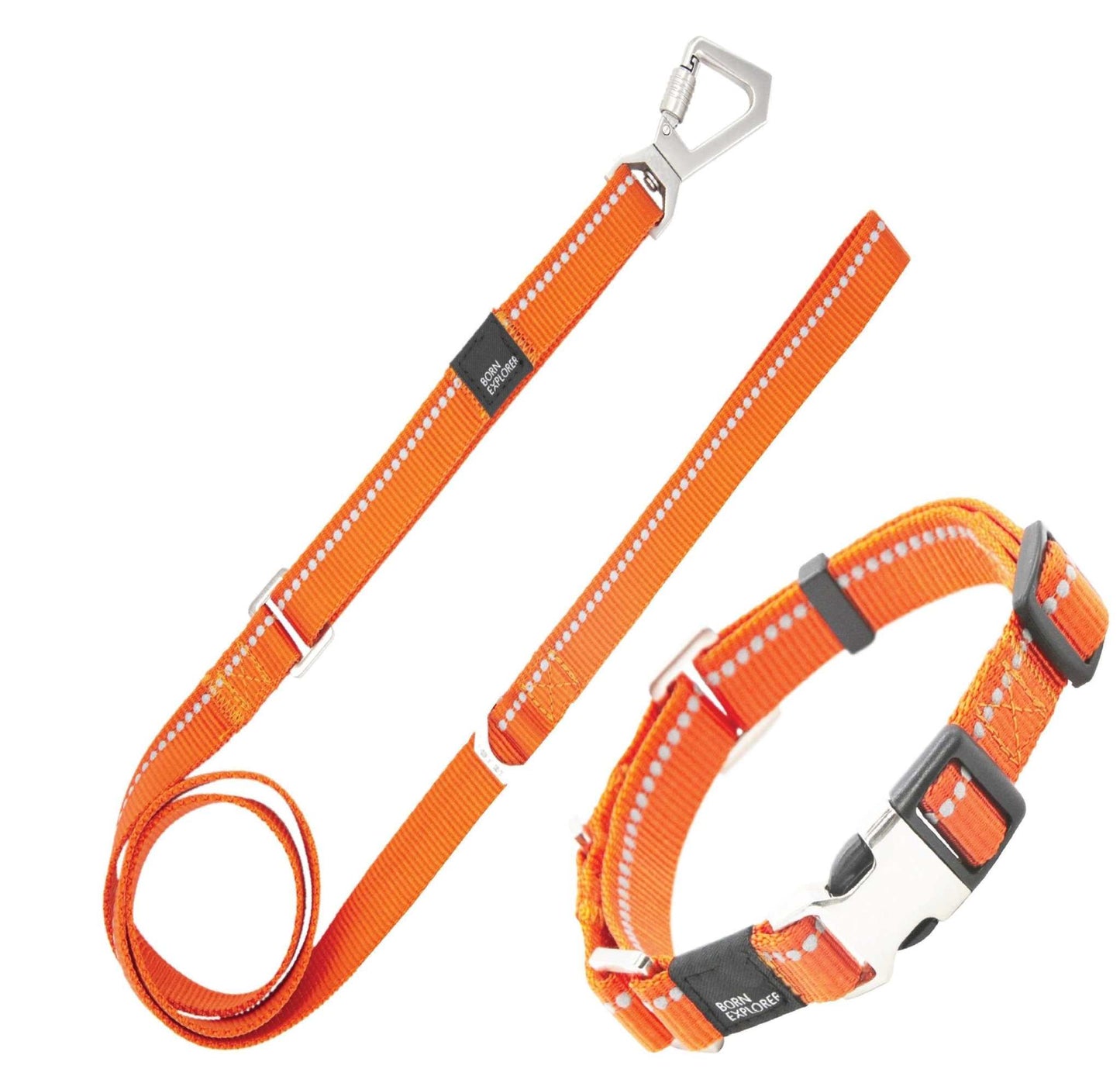 Advent Reflective 2-in-1 Dog Walking Set