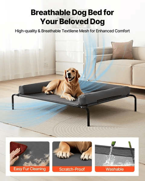 Portable Bolstered Raised Dog Bed