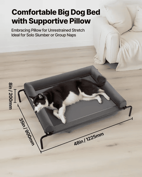 Portable Bolstered Raised Dog Bed